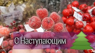 Немножко Ашан-сад, Леруа-сад,30.12.23 Москва, Алтуфьево