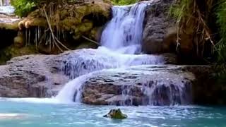 Perfect waterfall 💚💚💚  WhatsApp status video