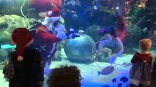 Underwater Santa delights children in Las Vegas aquarium  2014