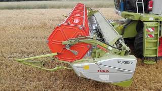 #15.CLAAS LEXION 570 C,Żniwa 2020r, u sąsiada  ''11t''/h,jeczmien,i wtopa!!