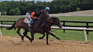 Matzoball Muhammet (inside) and Safe at Home (outside) breeze 1/4 on 5/11.