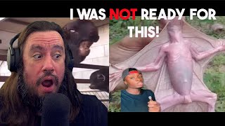 Vet Reacts! *I Was Not Ready For This* If you never saw it before, you wouldn’t believe it was real