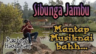 Sibunga Jambu || Gondang Batak Terbaru || Partogi Hasugian