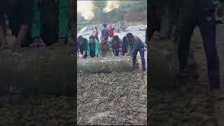 cricket pitch making //BAKRAS // SMT-2024@himachali85