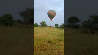 Hawa ke saath saath o saathi chal#wildlife #visittanzania #bollywood #tanzaniatourism #oldisgold