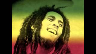 Bob Marley - Could You Be Loved (TJR refix)