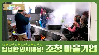 [구석구석 마을 이야기⑤] 달달한 양지마을! 조청 마을기업