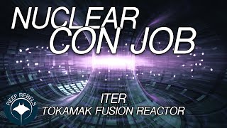 Nuclear Fusion: The hottest swindle on earth