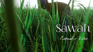 Cinematic Video Sawah | No Copyright Music