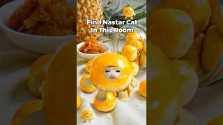 Nastar Cat Finding Challenge