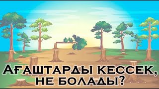 Қаланың Барлық Ағаштарын Кесіп Тастасаңыз Не Болады? | Bіlіp Júreıіk