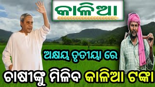 ଅକ୍ଷୟ ତୃତୀୟା ରେ ଚାଷୀଙ୍କୁ ମିଳିବ କାଳିଆ ଟଙ୍କା Kalia yojona Big update 2024