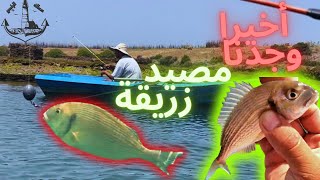 🔴تحدي صيد 🎣و إرجاع أكبر حصيلة من زريقة🐟 على القارب🚣🏽‍♂️