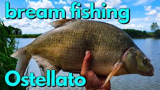 BREAM FISHING! PESCA A ROUBASIENNE - pesCarlo 4K