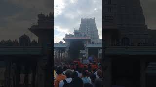 திருவண்ணாமலை கிரி பிரதக்ஷிணா! #thiruvannamalaigirivalam #youtubeshorts #devotional #bakthi