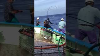 🇯🇵🔥Lumayan besar ni ukuran ikan nya sampe kewalahan narik nya 😱 #fishing #ship