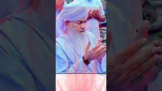 Peer Zulfiqar Ahmad Naqshbandi Shorts #youtubeshorts #youtube #ytshorts #viral