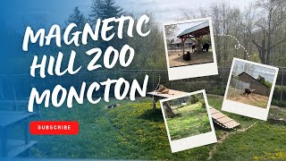 Exploring Moncton's Magnetic Hill Zoo|Explore New Brunswick