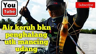 Aneh !!! Airnya Keruh Udang Galah Masih Pada Rebutan Umpan | Prawn Fishing