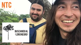 BUSCANDO AL LORO NEGRO - Viaje a Misiones 2021 - NTCarpinteria