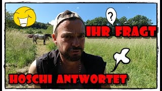 Q&A - Quest and Answer Teil 1 | Pferde Hoschi