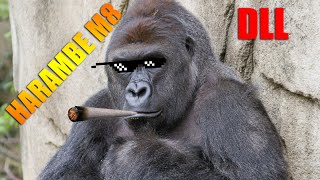 harambe.dll