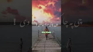 #sadpoetry #pashtopoetry #poetry