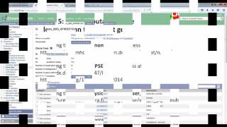 transPLANT wheat tutorial