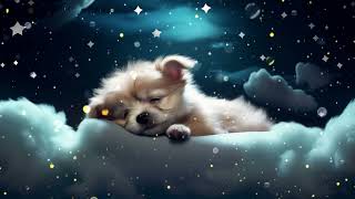 Lullaby Baby Sleep Music, DEEPEST Healing Sleep, Lullaby_A trip to dreamland with a cute baby cat