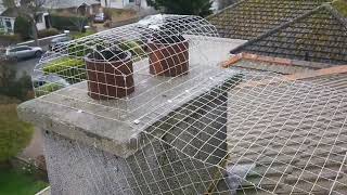 Chimney Seagull Cage 1x1 & Back Gutter