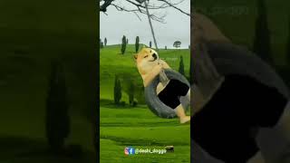 Aj Toh Mai Mast Jhula Jhulunga Hui Hui Hui😅🤣😂🤣 #dogecoinnews #bhojpurisong