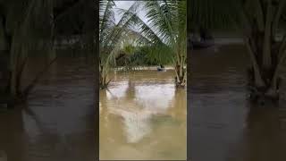 Banjir Kuala Medang