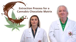 Extraction Process for a Cannabis Chocolate Matrix