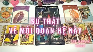 💖Sự Thật Về Mối Quan Hệ Này Là Gì?🤔🔮