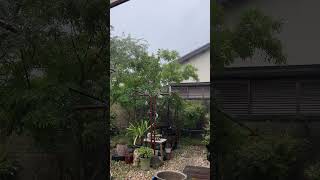 🌧️☔️Grabe Ang Ulan #rainydays #shortvideo #shortviral