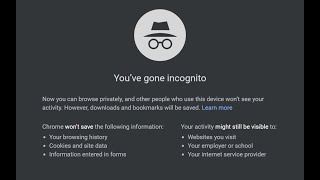 How Secure is Incognito Mode/Private browsing? No History/Tracking?