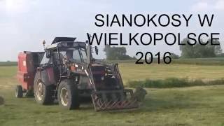 Sianokosy 2016 w Wielkopolsce !