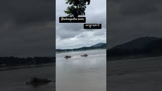 ཡར་ཀླུང་གཙང་པོ་ #brahmaputra_river #guwhati #tibetanyoutuber #trendingvideo #trendingsong#hindisong