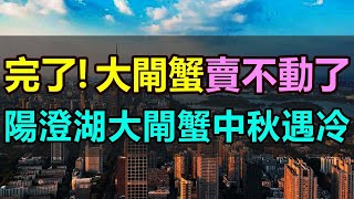 大閘蟹中秋遇冷，陽澄湖大閘蟹賣不動了，作為中秋市場的「硬貨」，大閘蟹卻突然啞火！臺風吹跑大閘蟹，價格一路飆升，普通百姓根本吃不起 #大閘蟹 #陽澄湖 #滯銷 #大閘蟹賣不動 #消費降級 #中國經濟觀察