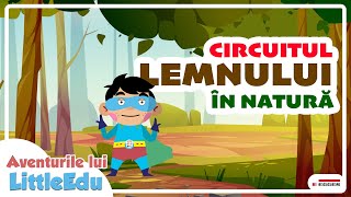 Circuitul lemnului în natură  - Aventurile lui LittleEdu