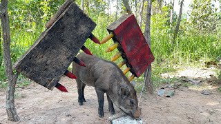 Best Creative Wild Pig Trap Using Sharp Wood From #animaltrap #shortvideo