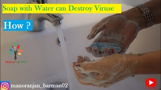 Are you washing your hands to kill germs? || Effect of soap and water on coronavirus