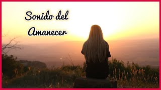 SONIDO del AMANECER en el CAMPO (1 Hora) 🌄🎶🔊