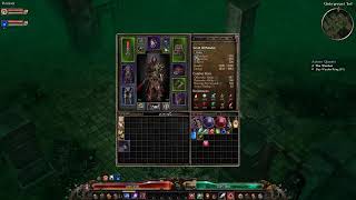 Grim Dawn - Running Up a New Paladin Build Tonight