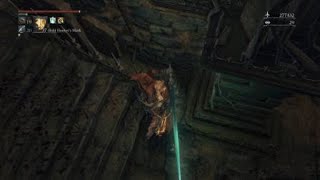 Wolf Goes Out Of The Map in Bloodborne