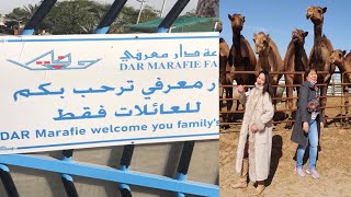 DAR MARAFIE FARM KUWAIT (VLOG #121)