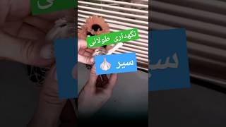 روش نگهداری سیر به مدت طولانی                        How to store garlic for a long time