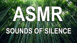 ASMR - Sounds Of Silence - Relaxing Sounds