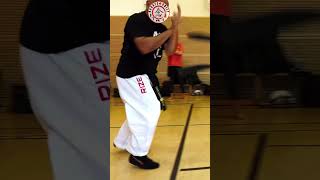 Savate Inspired Kicking Drill | Unity Seminar 2023 Germany #shorts #karate #martialarts