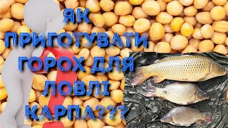 Як приготувати горох для ловлі карпа???